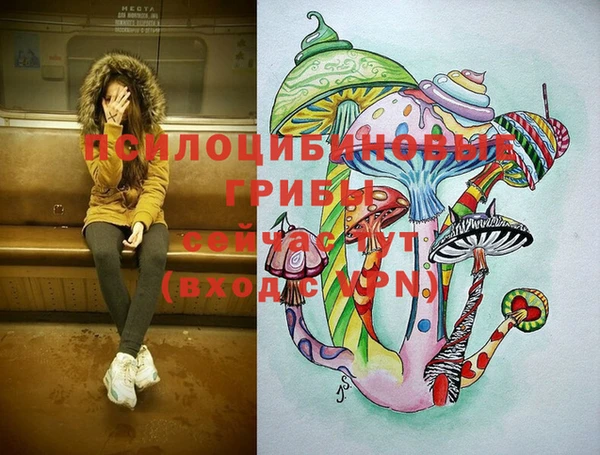 амф Белоозёрский